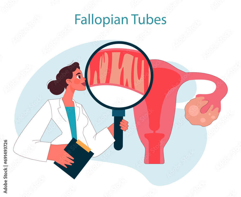 Fallopian tubes. Doctor examining fallopian tubes using magnifying ...