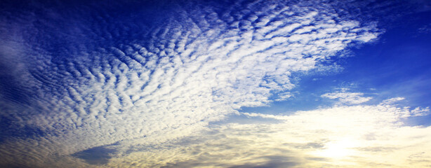 Wall Mural - empty white cloud on blue sky