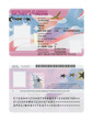 © VitalyMrak - United States of America employment authorization card template isolated on a white background. USA work permit card