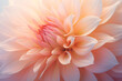 Soft-focus macro of a peach dahlia bloom, highlighting its delicate petals and warm, dreamy tones.