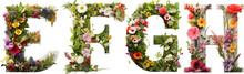Flower Font F,E,G,H, Alphabet 