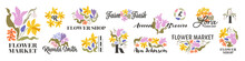 Vector Logo Design Template Of Spring Flowers Like Tulip, Daffodil, Primrose And Snowdrops. Collection Of Elegant Premade Emblems For Flower Market Or Florist Shop