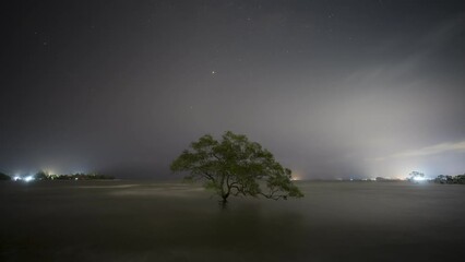 Wall Mural - A milkyway star at nigh sky with cloudy on mountain view located at thailand