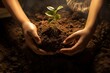 Plant in Hands. Ecology concept. Earth Day