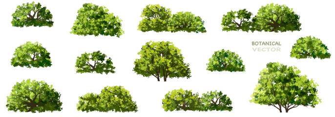 Wall Mural - vertor set of green tree,plants side view for landscape elevations,element for backdrop,eco environm