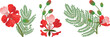 Set of royal gulmohar flowers.Peacock flowers. Flamboyant arvore. Isolated on a white background.Vector illustration.