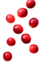 Falling Cranberry Fruits On A Transparent Background