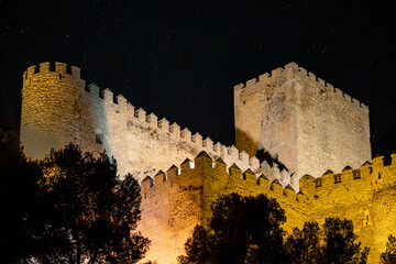 Canvas Print - Side view of Almansa castle, Albacete, Castilla La Mancha, Spain, at night with starry sky