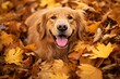 AI generated illustration of a retriever lying contentedly in a pile of autumn leaves