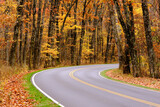 Fototapeta Do pokoju - Skyline Drive Curvy Road with Fall Foliage in Shenandoah National Park