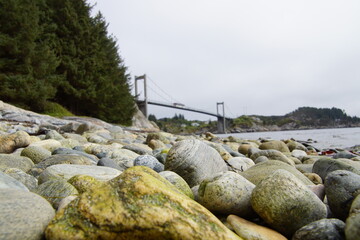 Wall Mural - bridge on the river