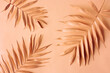 Arrangement of palm leaves. Pantone color of the year 2024 Peach Fuzz