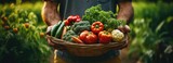 Fototapeta Kuchnia - koszyk świeżych warzyw i owoców