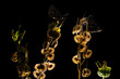 Silhouette of butterflies on seed pods against a dark background