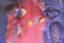 Abstract Erosion Patterns On Multicolored Rock Surface