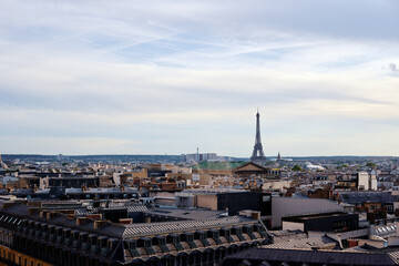 Wall Mural - Paris cityscape. Rooftops of the buildings, Eiffel Tower in the background