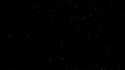 Wall Mural - Dust Particles Floating On Black Background. Dynamic Dust Particles Randomly Float In Space. Glittering Dust Particles With Bokeh on 4K Slow motion.