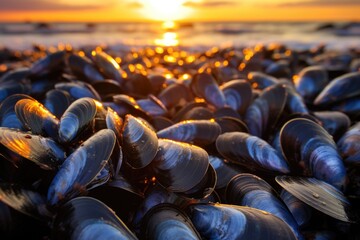 Poster - Mussels sitting on top of a beach. Perfect for seafood lovers and beach-themed designs