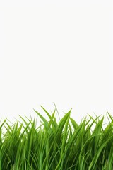 Poster - A close-up view of a bunch of green grass. Perfect for nature-themed designs and projects
