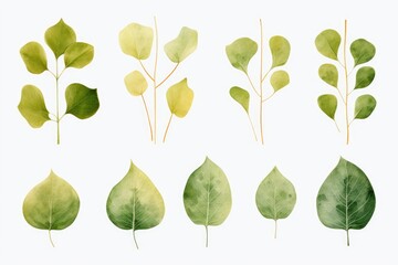 Poster - A bunch of green leaves on a white background. Perfect for nature-themed designs and eco-friendly projects