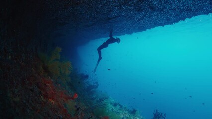 Poster - Freediver explores unique underwater landscape in Raja Ampat, Indonesia. Underwater view of the person freediving in Misool region, West Papua