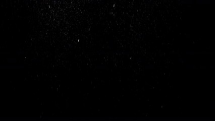 Wall Mural - Huge falling VFX dust particles Floating On Black Background. Dynamic Dust Particles Randomly Float In Space. Shimmering Glittering Dust Particles