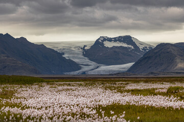 Poster - Iceland