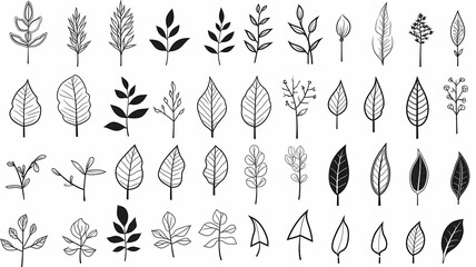 set, collection of simple leaves and branches isolated on a white background, minimalism flat graphics for design, black and white style