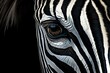 Illustration of a close up of a zebra