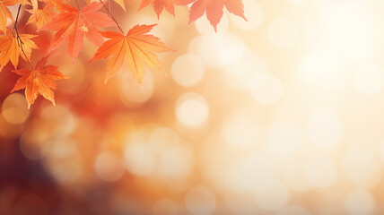 Wall Mural - maple leaves on abstract blurred background with bokeh copy space, light bright autumn background for text