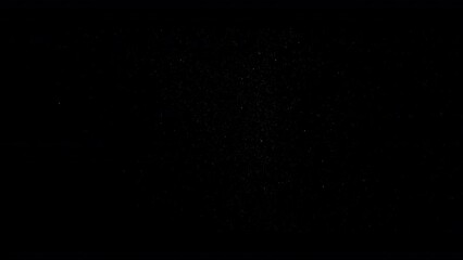 Wall Mural - Dust Particles Floating On Black Background. Dynamic Dust Particles Randomly Float In Space. Glittering Dust Particles With Bokeh on 4K Slow motion.