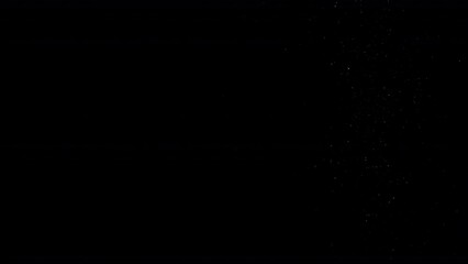 Wall Mural - Dust Particles Floating On Black Background. Dynamic Dust Particles Randomly Float In Space. Glittering Dust Particles With Bokeh on 4K Slow motion.