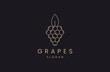 grape logo design icon vector illustration