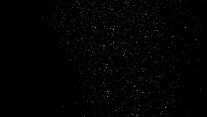 Wall Mural - Dust Particles Floating On Black Background. Dynamic Dust Particles Randomly Float In Space. Glittering Dust Particles With Bokeh on 4K Slow motion.