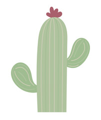 Wall Mural - cactus with flower
