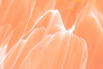 Wall Mural - wavy lines of light as abstract blurred background peach colored, natural glare from lights, trend c