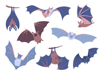 Set of hand drawn bats, cartoon flat vector illustration isolated on white background.