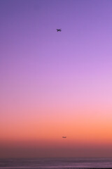 Canvas Print - 夕暮れの空を飛ぶ飛行機