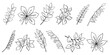 Tree branch collection, twigs and leaves of acacia, laurel, birch, willow, chestnut. Hand drawn outline sketch isolated on white. Vector for nature and botany illustration, floral and organic design.