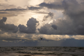 Wall Mural - Clouds over Baltic sea at Liepaja, Latvia.