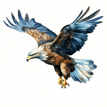 Illustration Of A Flying Eagle, A Bird Flying In The Air.