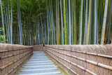 Fototapeta Do pokoju - A Bamboo Grove at Adashino Nenbutsuji Temple in Kyoto, Japan