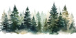 Christmas trees Vector watercolor illustration,Forest, fir trees, pine trees, Forest watercolor illustration