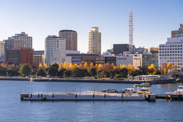 Wall Mural - 横浜山下公園の風景　Scenery of Yokohama Yamashita Park