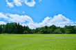 芝生と新緑と青空の広がる風景