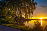 Fototapeta Na ścianę - Brzozy nad jeziorem o zachodzie słońca