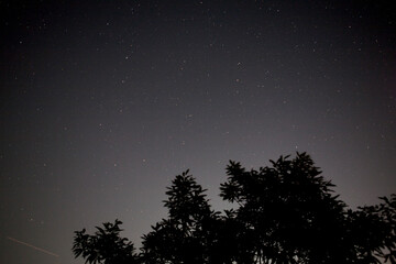 Canvas Print - starry night sky