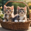 two kuties in a basket