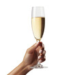 a hand holding a glass of champagne isolated on a white background PNG