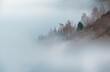 forest area in the mountains surrounded on all sides by thick fog and clouds. Mountain landscape in minimalist style